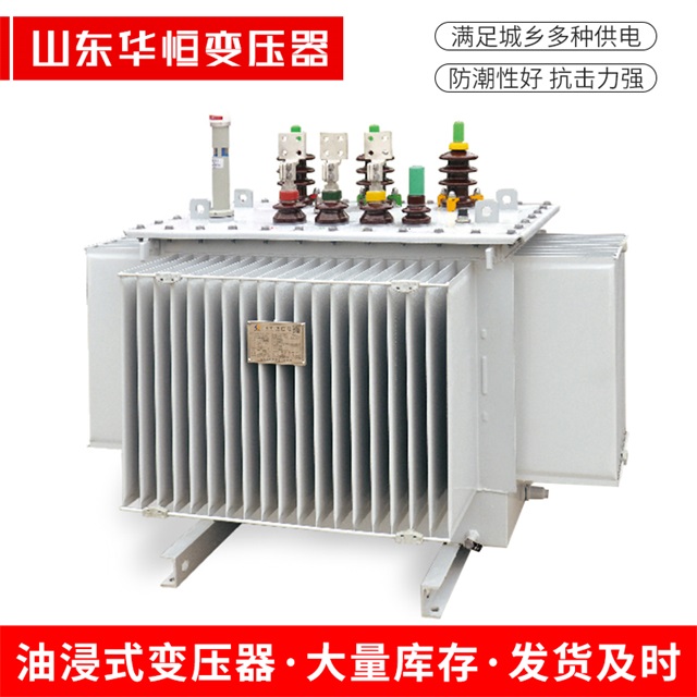 S13-10000/35桐乡桐乡桐乡电力变压器
